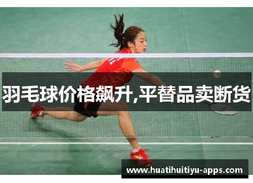 羽毛球价格飙升,平替品卖断货